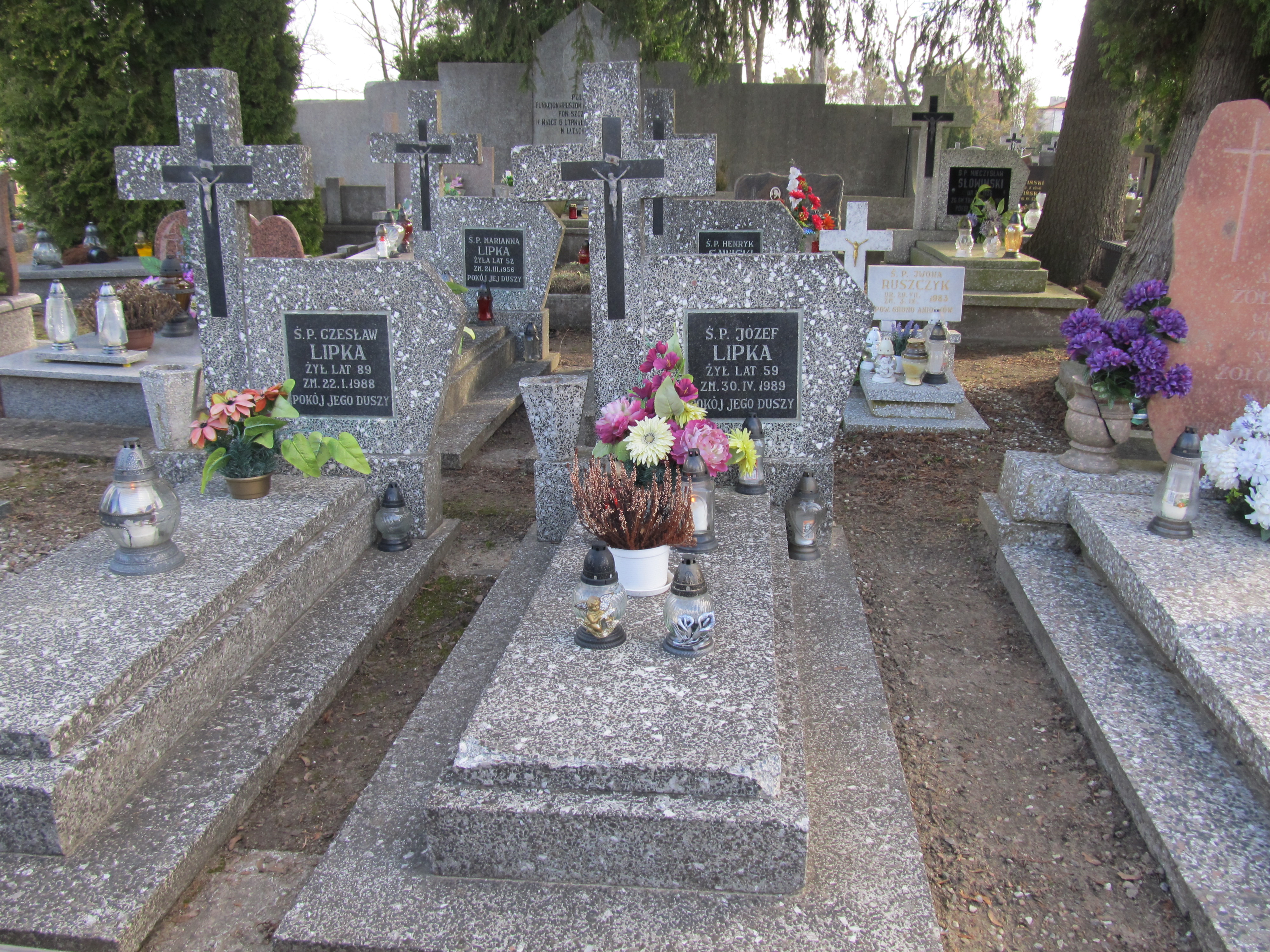 Grób Józef Lipka