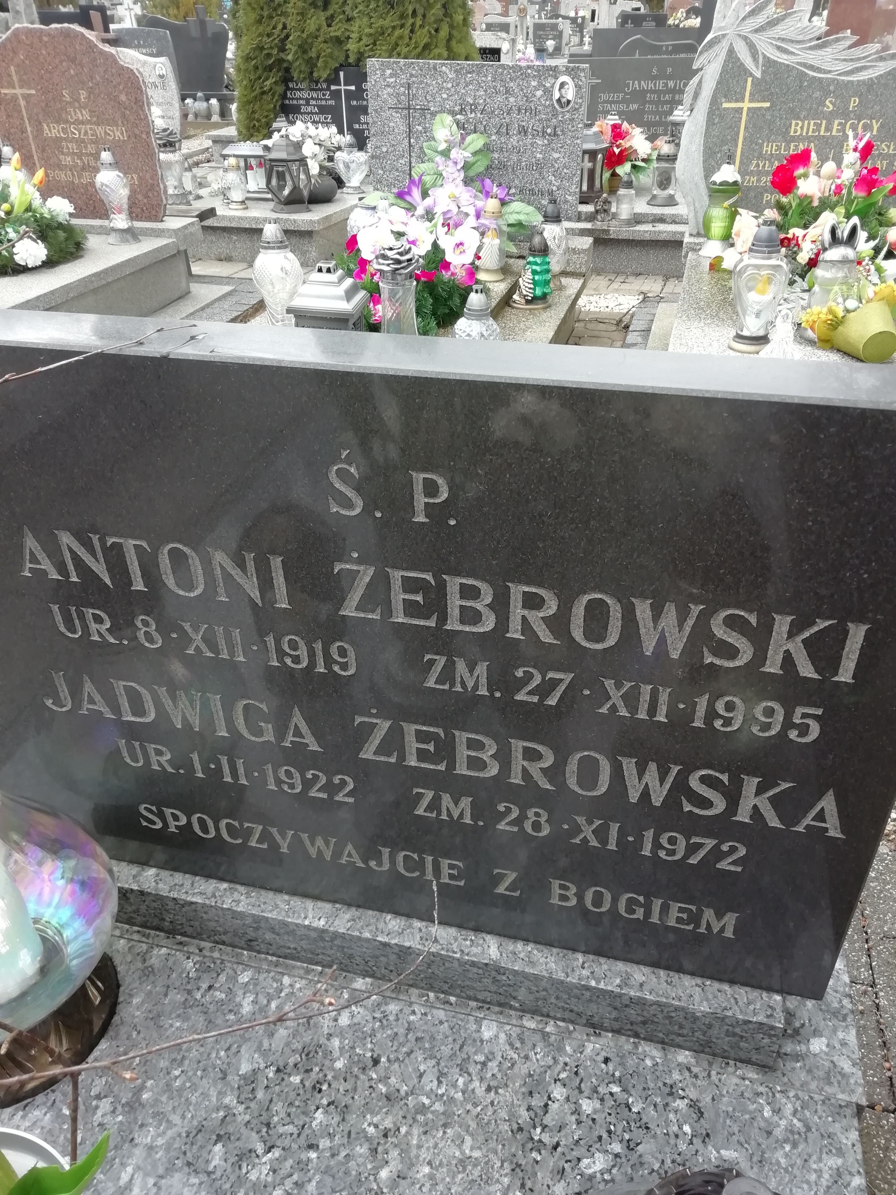 Antoni Żebrowski 1919 Szczytno - Grobonet - Wyszukiwarka osób pochowanych