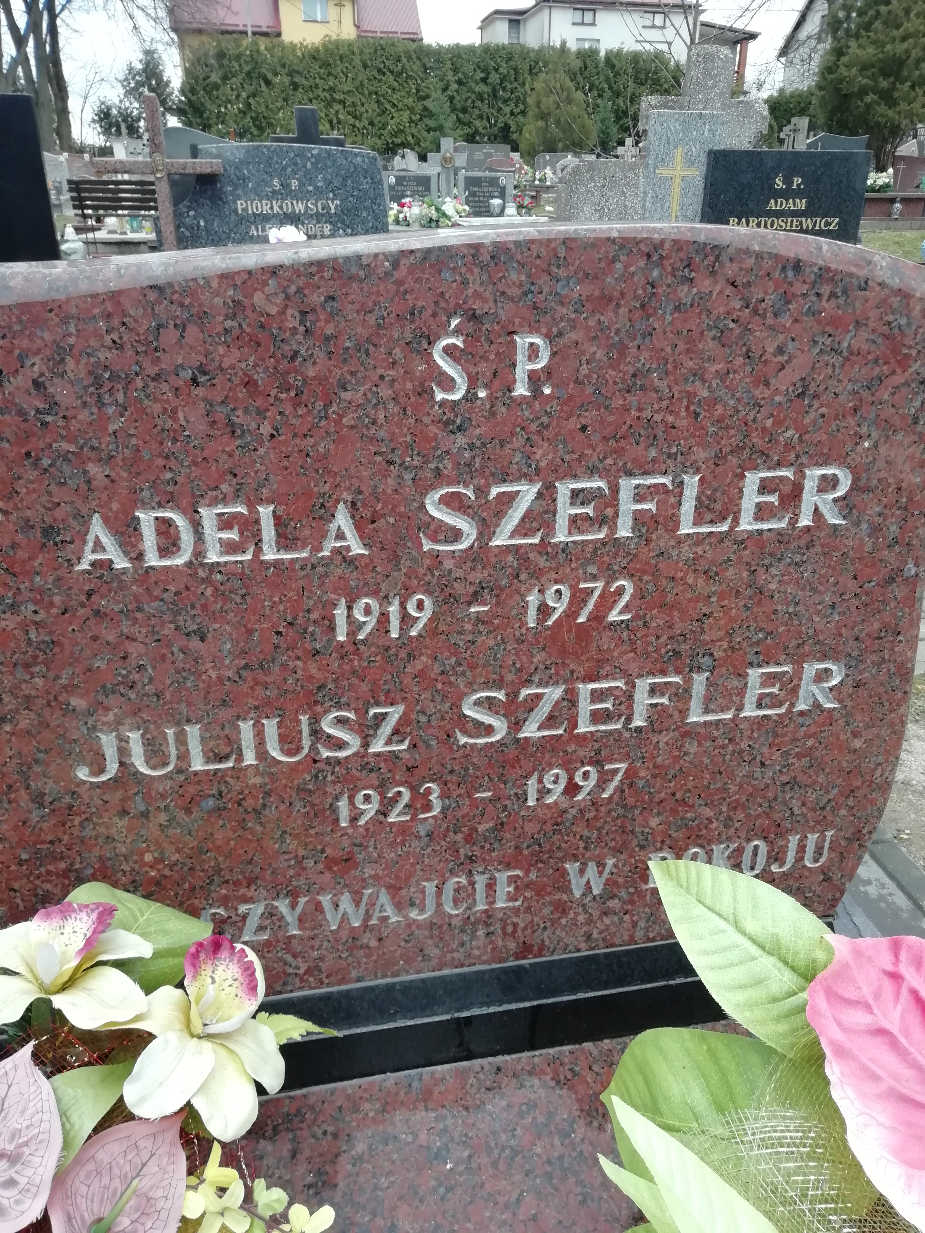 Adela Szefler 1919 Szczytno - Grobonet - Wyszukiwarka osób pochowanych