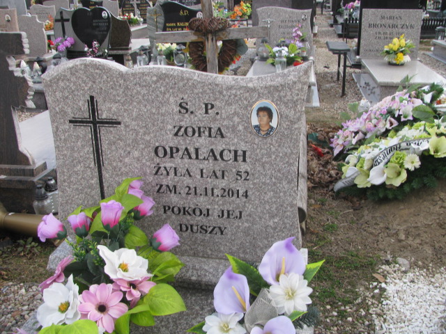 Zofia Opalach 1962 Szczytno - Grobonet - Wyszukiwarka osób pochowanych