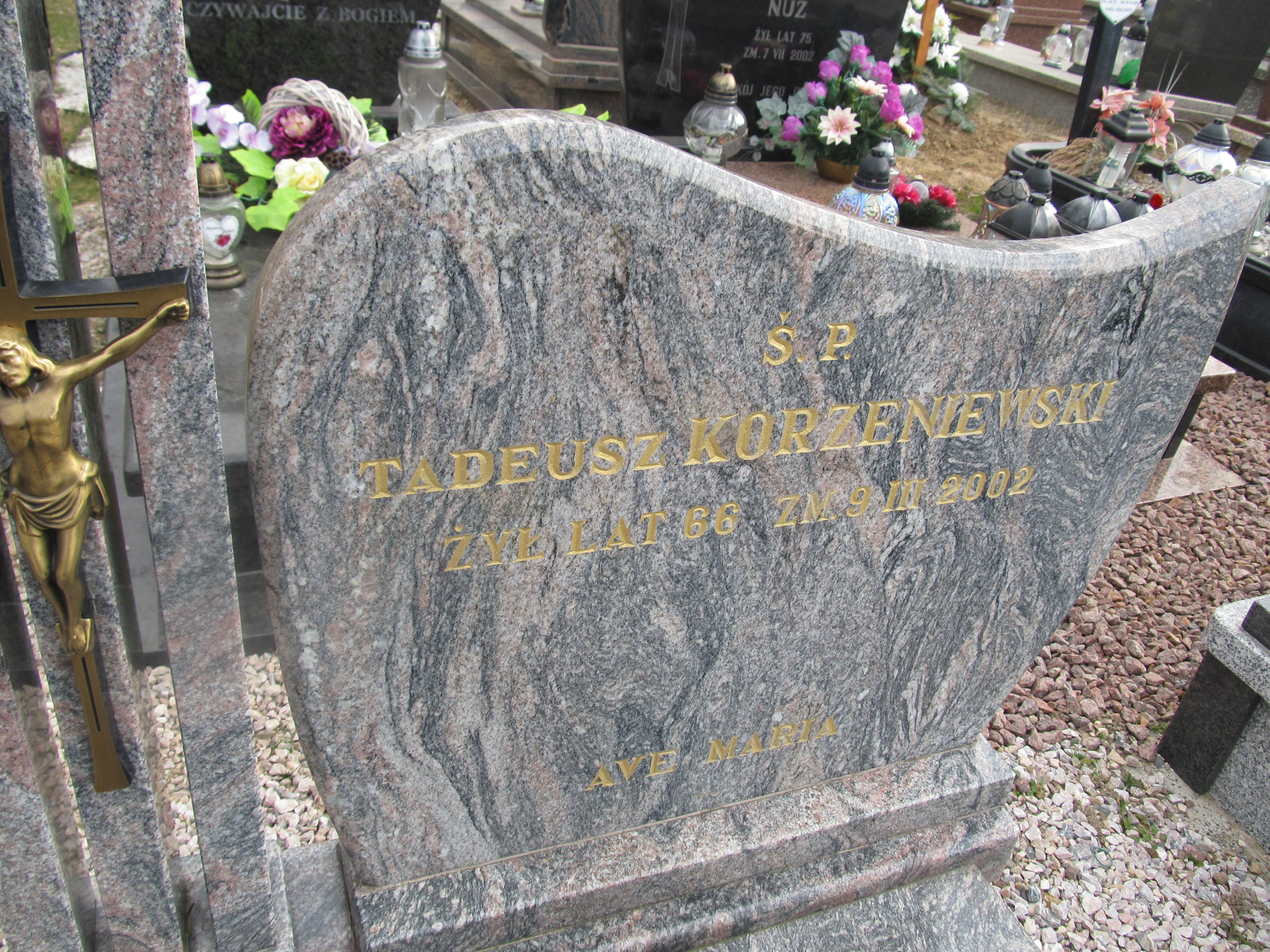 Tadeusz Korzeniewski 1936 Szczytno - Grobonet - Wyszukiwarka osób pochowanych